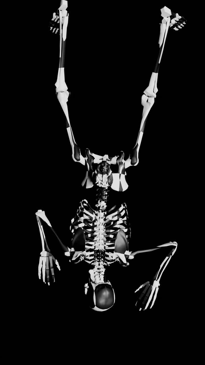 Skeleton Crawling backward .footage