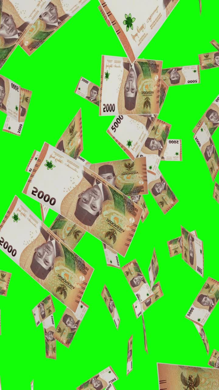 Indonesian Rupiah Falling | Premium Stock Video Footage