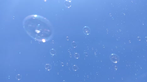 summer sun and soap bubbles fly in the blue sky. happiness, children's holiday, freedom.