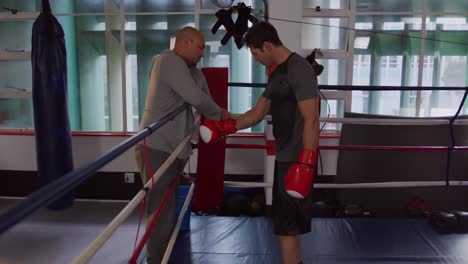 caucasian coach wrapping athlete hands in boxing ring