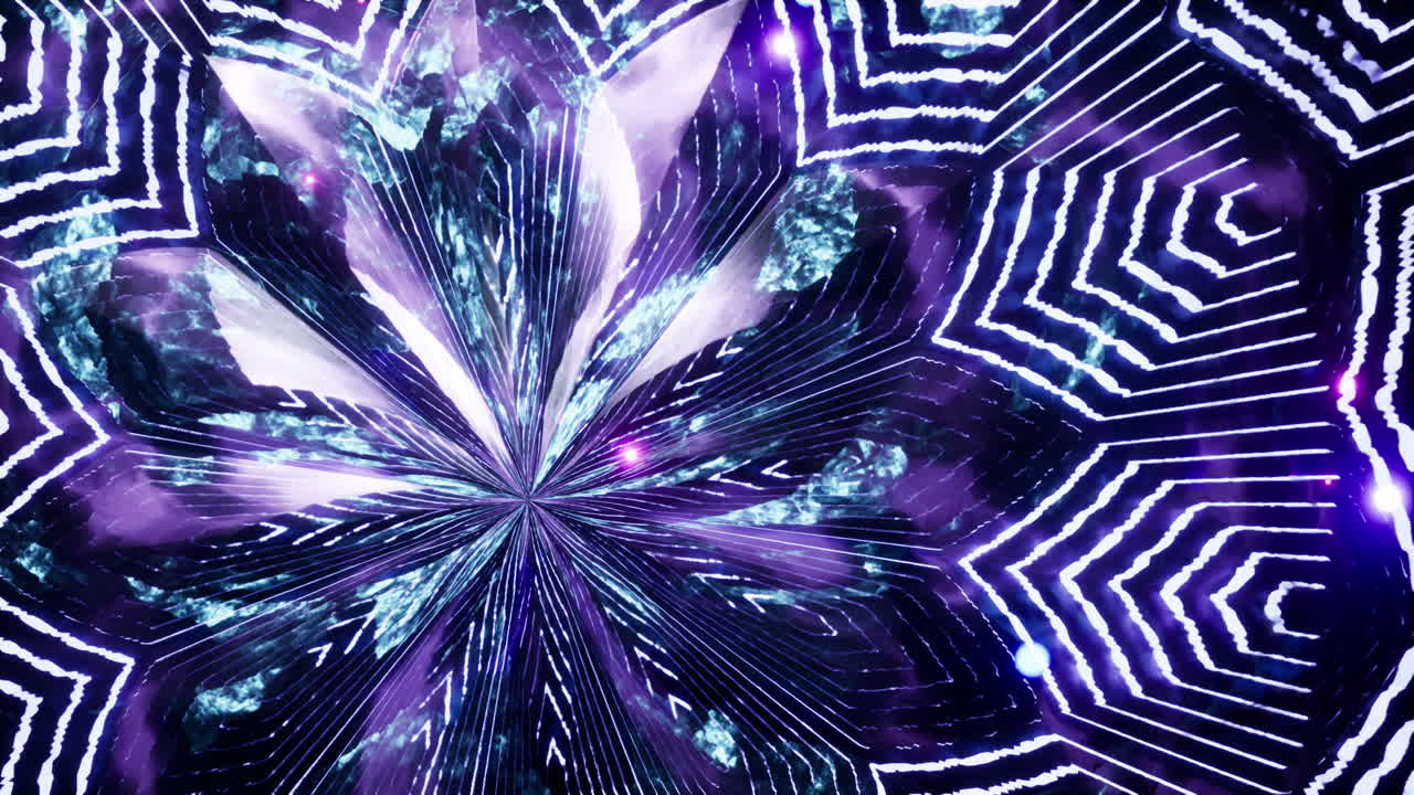 Un fiore viola è raffigurato al centro di un'immagine