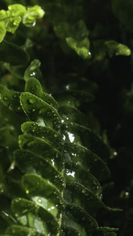 leaves on the riverside