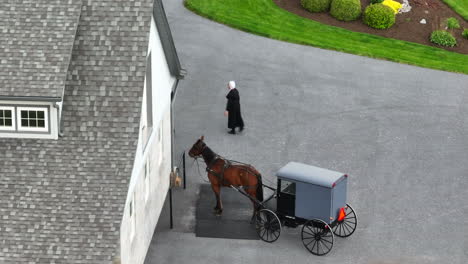 amish woman walking away from horse