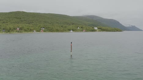 Escena-Relajante-De-La-Isla-Finnkroken-Con-Un-Cormorán-Solitario-En-Un-Poste