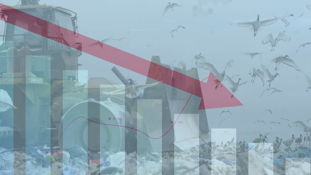 빨간색 그래프는 쓰레기 매립장에서 일하는 불도저와 비교하여 통계적 데이터 처리를 이동합니다.