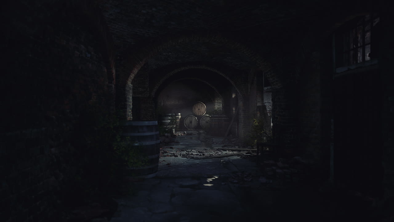 Hidden underground cellar reveals ancient barrels and stone architecture