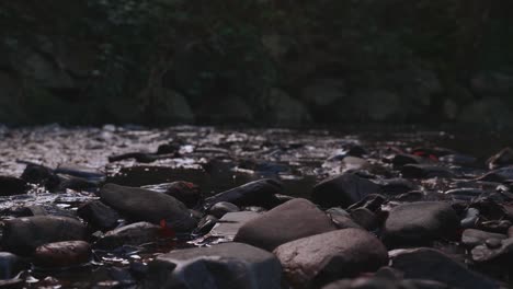 rocks on slow flowing river