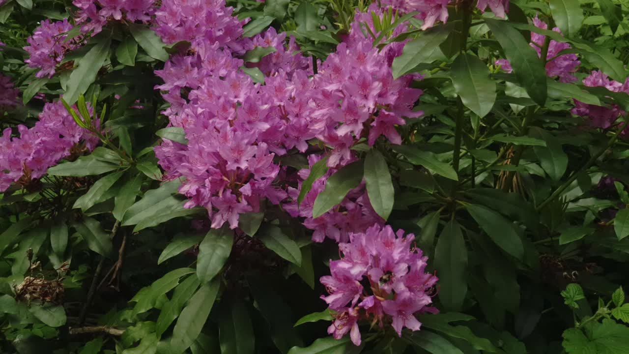 día abajo en una casa señorial jardines