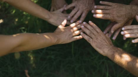 grupo de agricultores en un viñedo