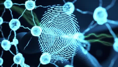 exploring the intricacies of digital fingerprints: a journey through neural connections and data representation in a stunning visual experience