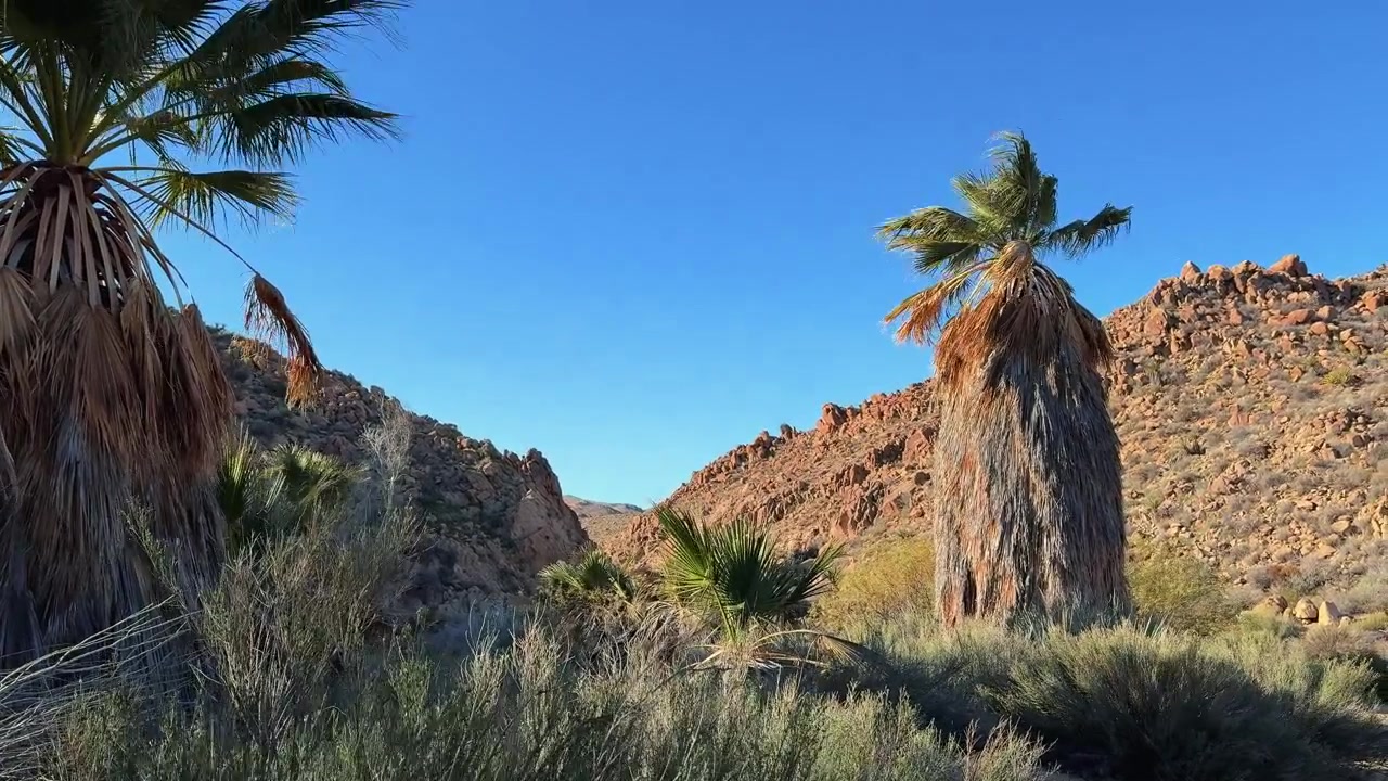 Terreno natural acidentado na paisagem de Joshua Tree, Califórnia.