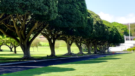 Punchbowl-Cementerio-Nacional-Del-Pacifico