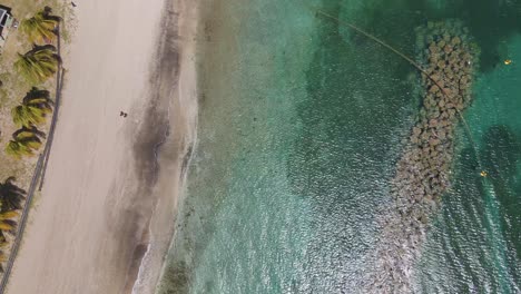 Aerial-view-over-a-quiet-paradise-beach-and-transparent-water-in-Saint-Kitts---overhead,-drone-shot