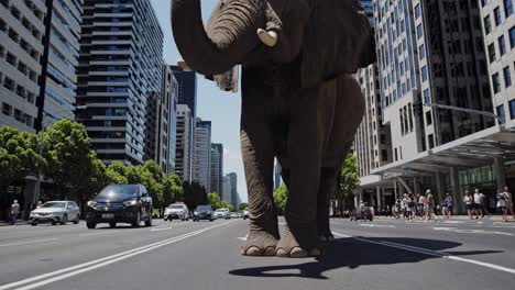 massive elephant calmly walking down metropolitan street, interrupting urban traffic while pedestrians gaze in stunned wonderment at unexpected wildlife presence amid concrete landscape