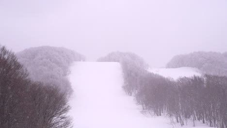 Zeitlupe-Verschneite-Skipisten-Im-Wald-Ohne-Menschen