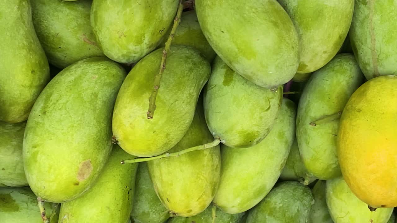 rendimiento de mango. fruta de mango recolectada. mercado callejero
