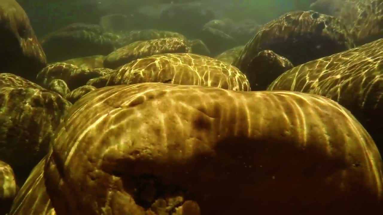 Pescatore che pratica la pesca a mosca nel fiume