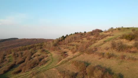 drone flying over a hill towards trees in a rural area in romania