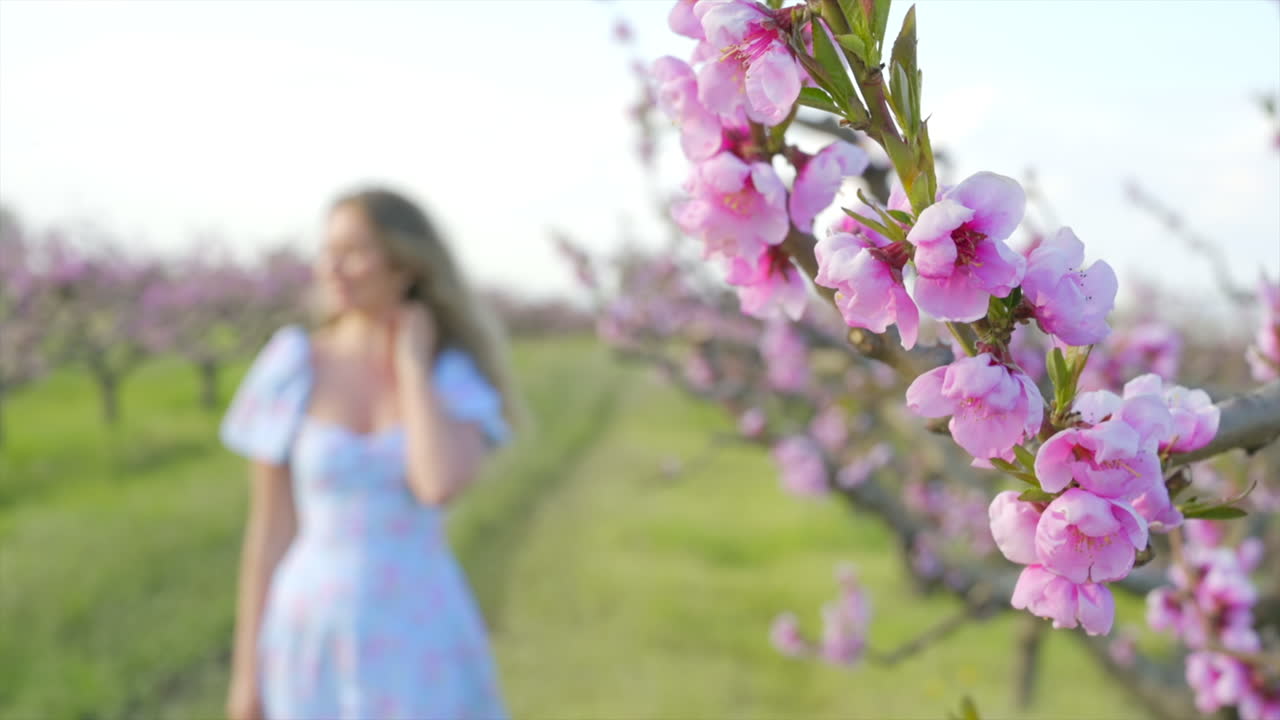 Brunette woman in a blue dress in a field of blooming trees