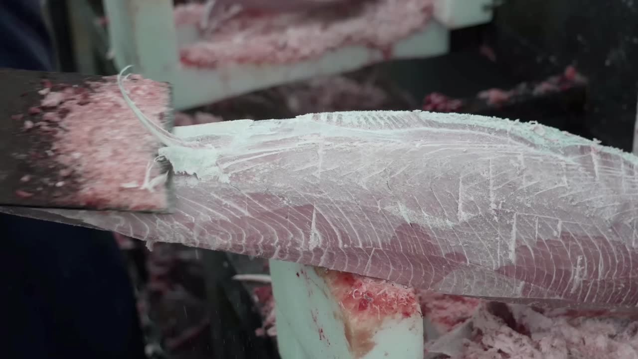 근접 촬영 한 노동자 가 고기 가죽 을 제거 하고 있다