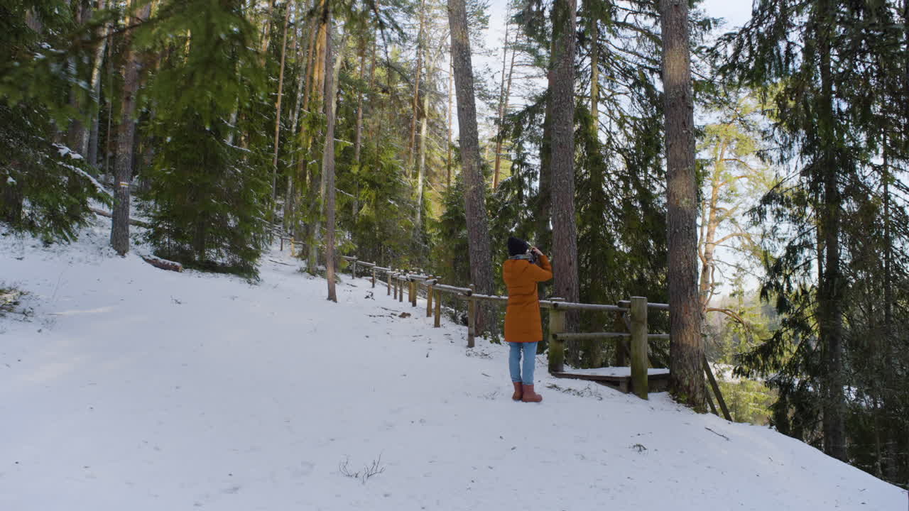 видземе латвии в январе месяце