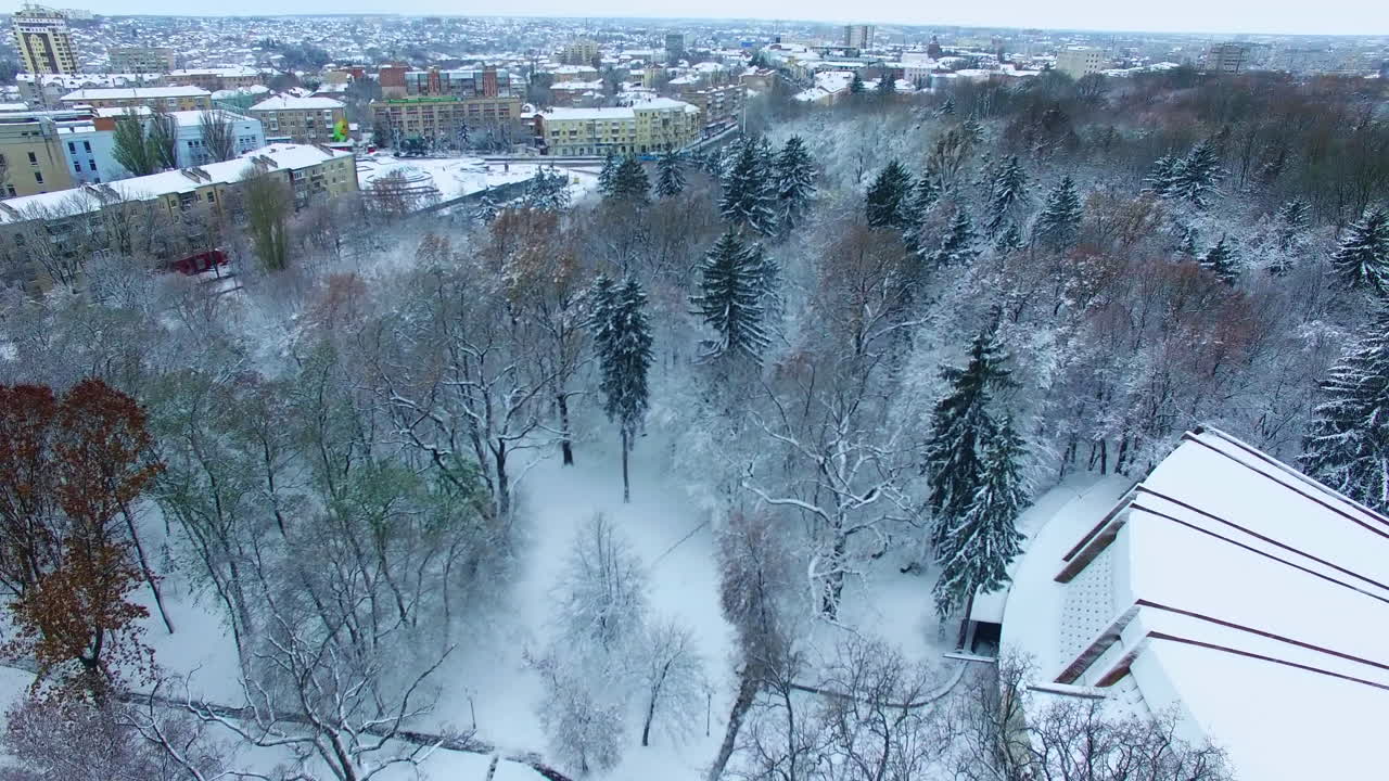 Vast panorama of the city in winter season. Snow-covered trees in the park from top perspective.
