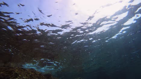 sol brillando a través del agua clara del mar jónico en la isla de kefalonia en grecia