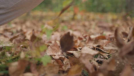 close-up of woman squatting, picking up dry autumn leaves with polished nails, showcasing interaction with nature, detailed view of leaves scattered on the ground
