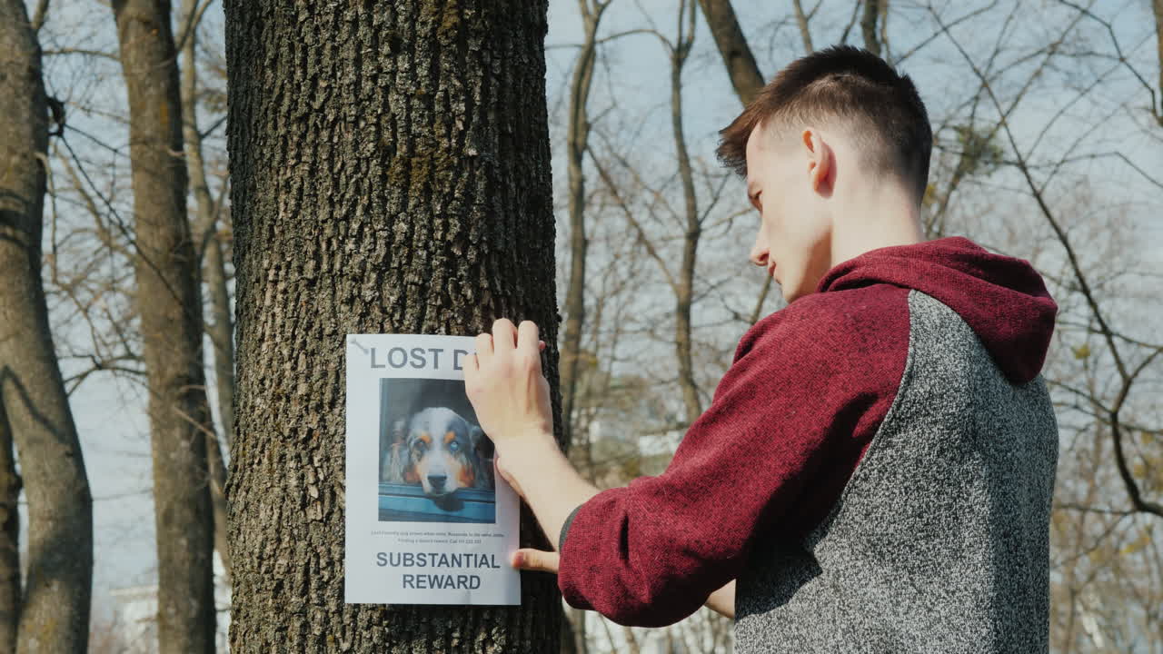 adolescente pone anuncios de perros desaparecidos