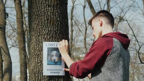 teen puts up ads for missing dogs