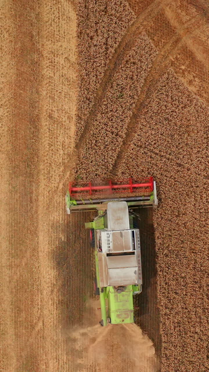 Agronomy cultivated farming machine. Countryside farming by big combine. Vertical video