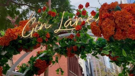 gin lane neon sign - slight angle perth cbd, floral arch, arbor, pergola