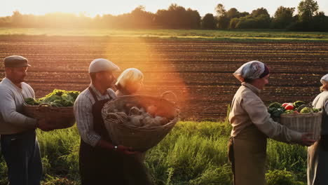 farmers carrying harvested vegetables through a field at sunset