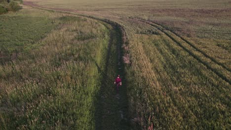 Vista-Aérea-Del-Hombre-Caminando-En-Los-Campos-En-Un-Pintoresco-Camino-Rural,-Cerca-De-Svitavy-En-La-República-Checa