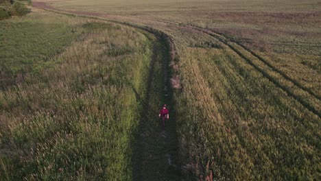vista aérea del hombre caminando en los campos en un pintoresco camino rural, cerca de svitavy en la república checa