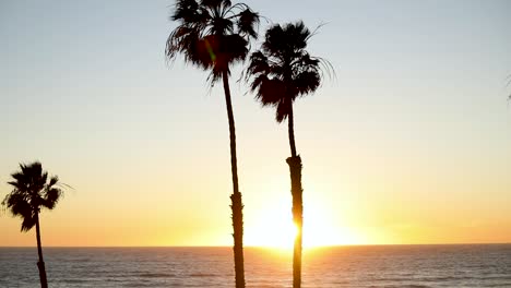 Palm-Trees-Silhouette-During-Golden-Sunset-Setting-Over-Pacific-Ocean-In-California,-USA