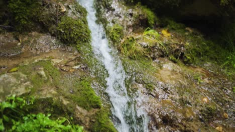 Stream-of-water-between-rocks-and-moss-in-a-verdant-forest