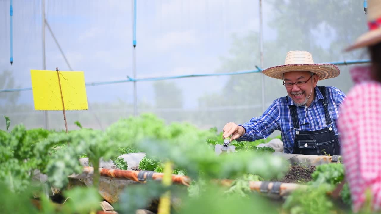 하이드로포닉 스마트 에서 신선한 유기 채소를 확인하는 농부, 비즈니스, 건강하고 깨한 음식 개념으로 채소 수확 농업을 생산합니다.