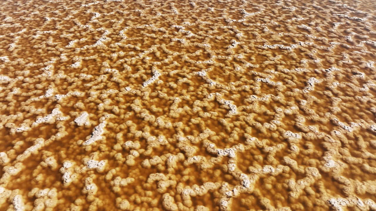 vista elevada de salin du midi, donde la sal rosada se encuentra con el horizonte.