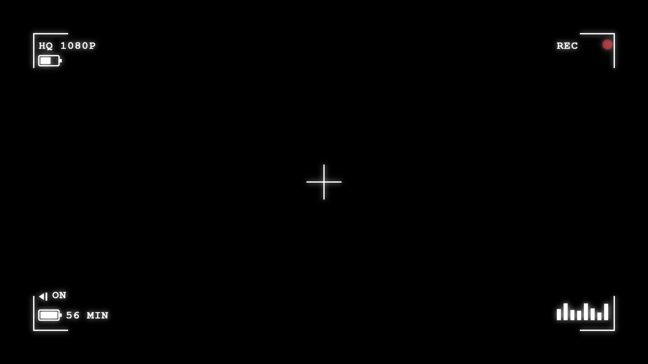 Digital Camera Viewfinder Overlay with Recording Interface