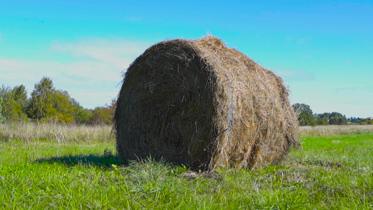 Hay bale roll in a farm field during late summer or autumn time when sun is shining and making the bale golden. Blue sky and trees in the background of the landscape. Short green grass on the ground.