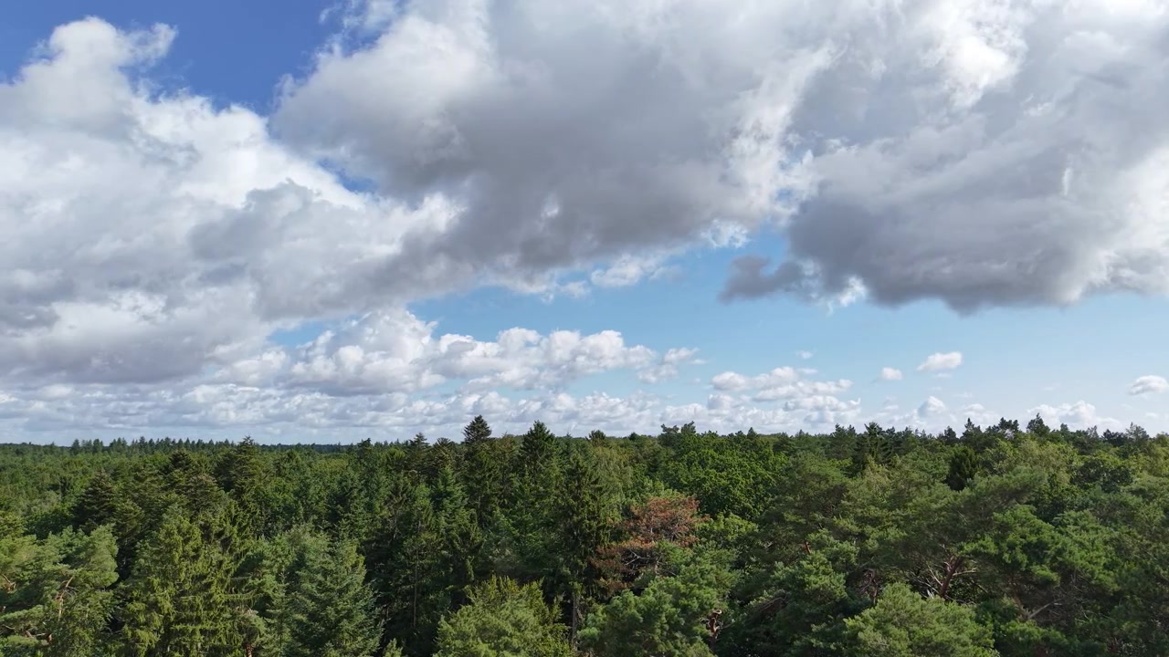 a view of dramatic clouds drifting over a vast green forest landscape beneath a blue sky, capturing the beauty of nature, changing weather, and peaceful wilderness from above.