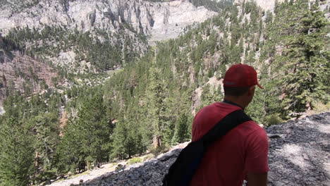 male hiking through mt charleston spring mountain national recreation area near las vegas