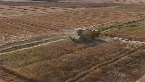 static view of wheat harvesting