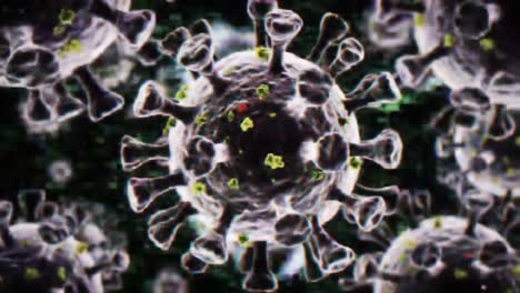 intricate close-ups of viral structures captured in stunning detail show the complexity and unique features of pathogenic organisms under a microscope