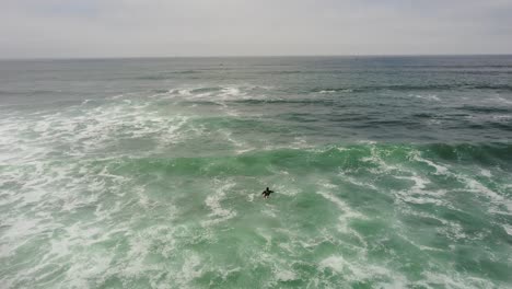 Surfista-Remando-En-El-Océano-Mientras-Un-Dron-Vuela-Sobre-Su-Cabeza-E-Inclina-La-Cámara-Cardán-Hacia-Abajo