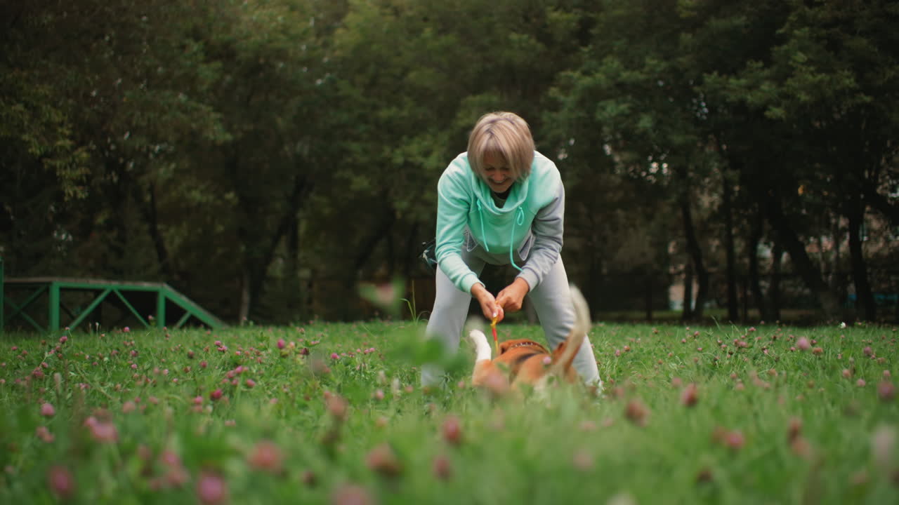 Trainer smiling while trying to force play ball out of beagle dog mouth on grassy field filled with small purple flowers surrounded by lush trees during cheerful outdoor training filled with fun
