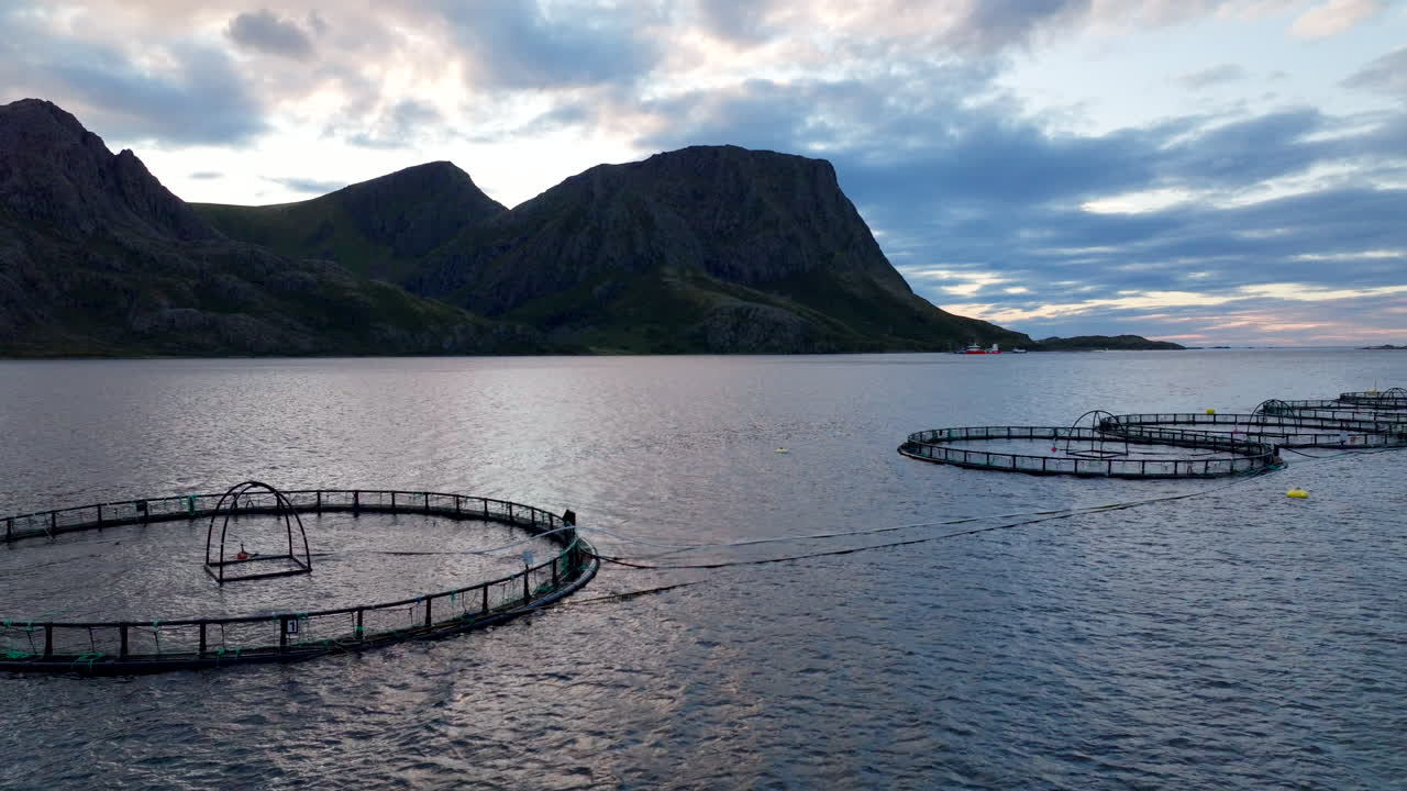 북유럽의 베스테랄렌에 있는 노르웨이 연어 농장에서의 원형 해양 케이지의 공중 사진