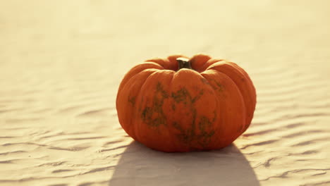 halloween pumpkin on the beach dunes