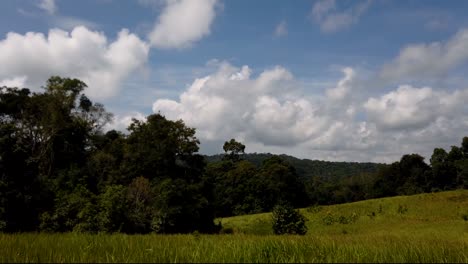 Landschaft-Im-Khao-Yai-Nationalpark,-Bäume-Und-Berge-Mit-Flauschigen-Großen-Wolken,-Die-Schatten-Werfen